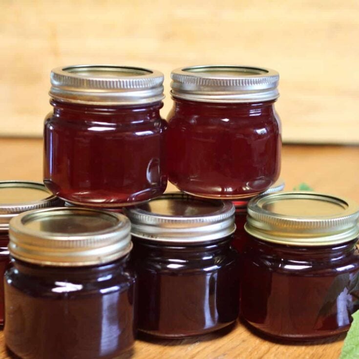 Six small glass jars filled with homemade mustang grape jelly are stacked on a wooden surface, each sealed with a metal lid. The background is out of focus, highlighting the shiny, translucent contents of the jars.
