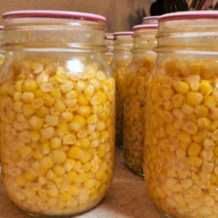 Several glass jars filled with yellow canned corn are lined up on a countertop, each sealed with a metal lid. The jars appear to be prepared for canning or storage.