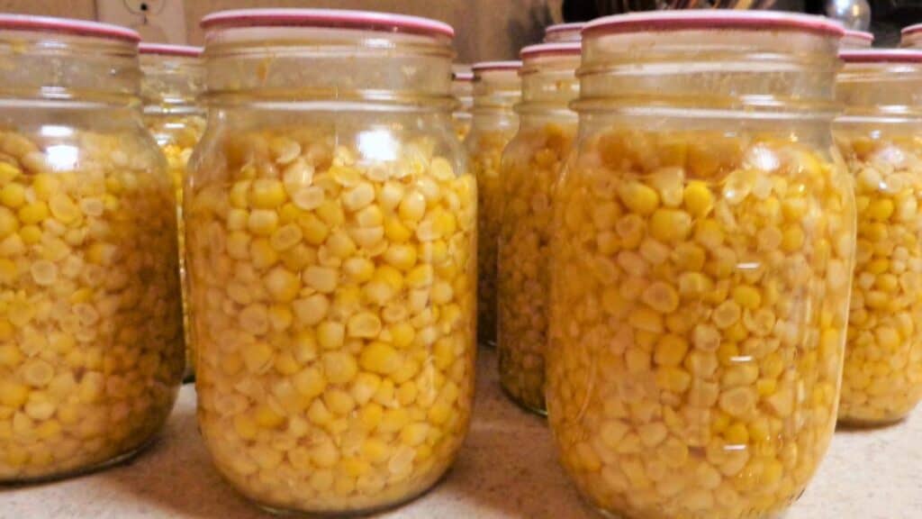 Several glass jars filled with yellow canned corn, sealed with metal lids, are arranged in rows on a countertop.