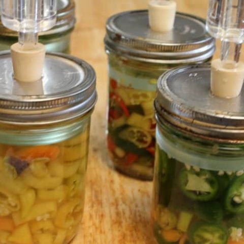 Fermented Peppers Recipe-image