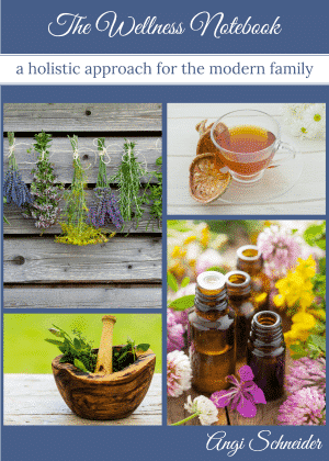 Family-Wellness-Notebook-Final-Flat-Cover 300X420