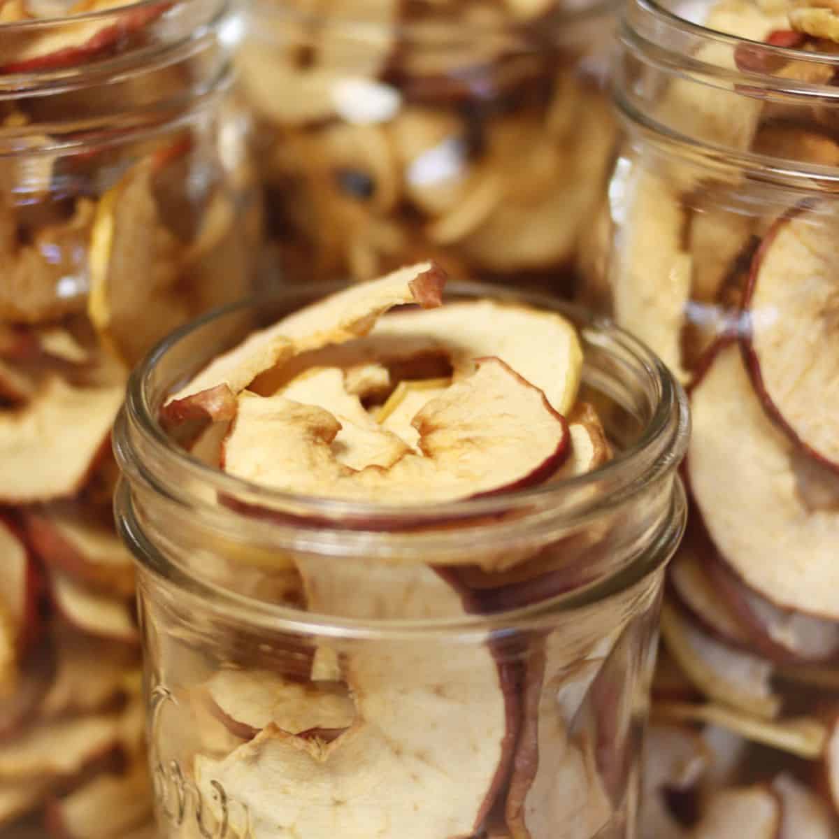 Close-up of glass jars filled with dehydrating apples. The dried apple slices have reddish edges and are packed tightly inside, suggesting homemade snacks or food preservation.