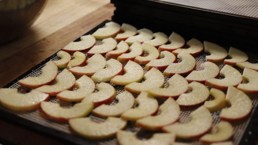 Thinly sliced apple pieces are neatly arranged on a dehydrator tray, ready for dehydrating apples. Their red skins and pale flesh stand out in the kitchen setting, promising crisp, delicious snacks once dried.