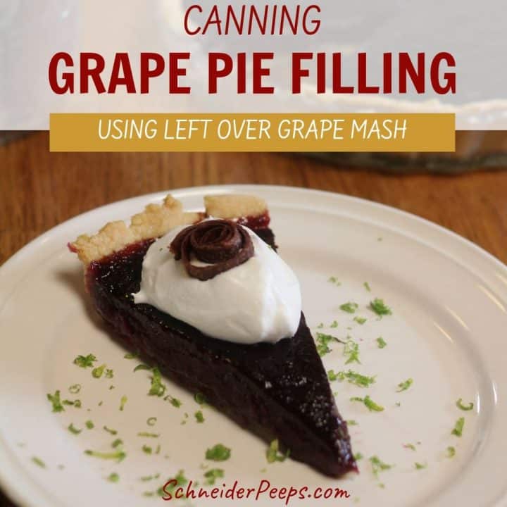 A slice of grape pie on a plate with text overlay