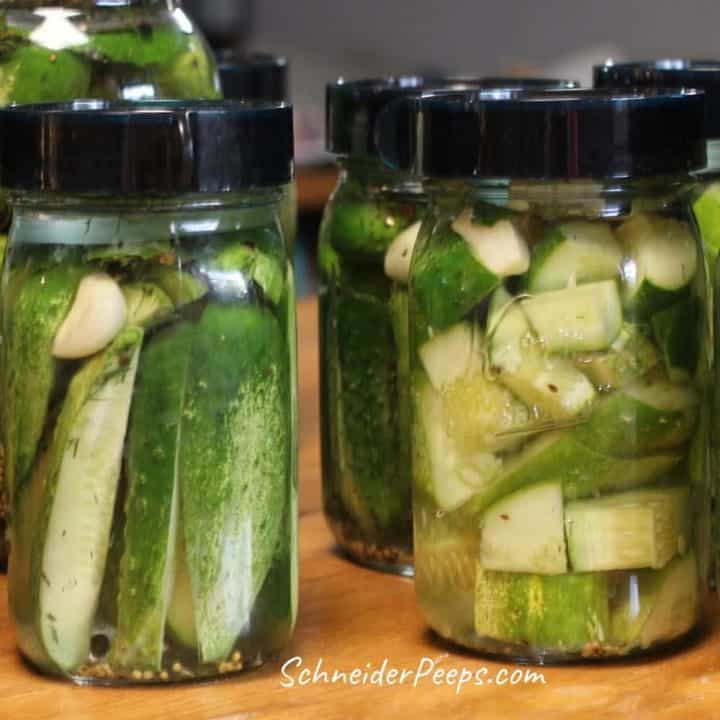 A close up of fermenting cucumber slices, also called natural pickles
