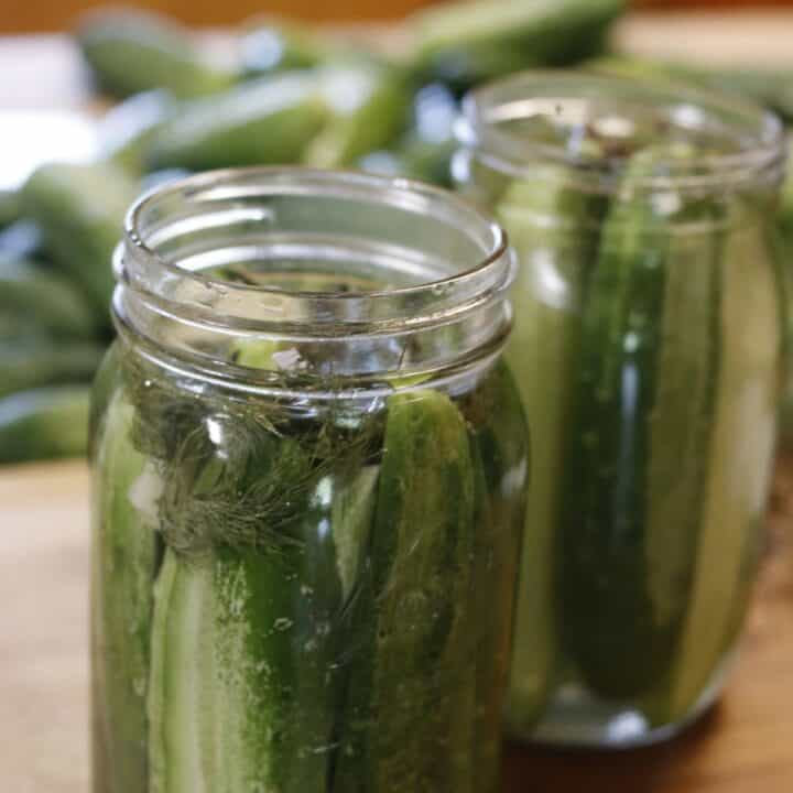 Two mason jars of cucumber spears with spices to make refrigerator dill pickles.