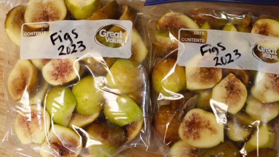 3 Ways to Freeze Figs (and how to use frozen figs) - Creative Simple Living