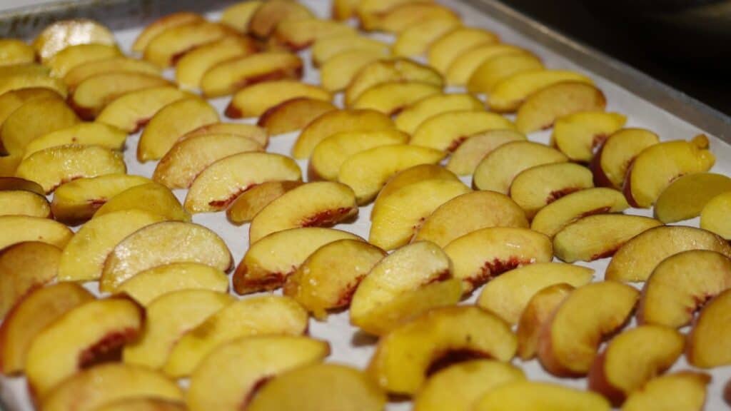 Rows of sliced peaches arranged on a baking sheet lined with parchment paper, ready for freezing or baking.