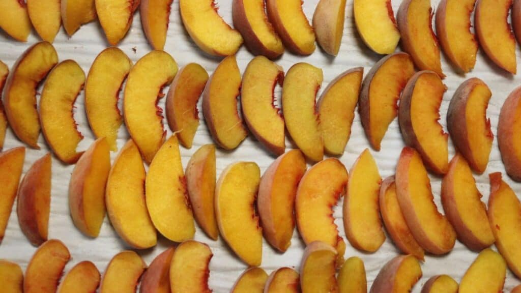 Rows of fresh peach slices arranged neatly on a light-colored surface, ready for drying or baking. The slices show vibrant yellow-orange flesh with hints of red near the skins.