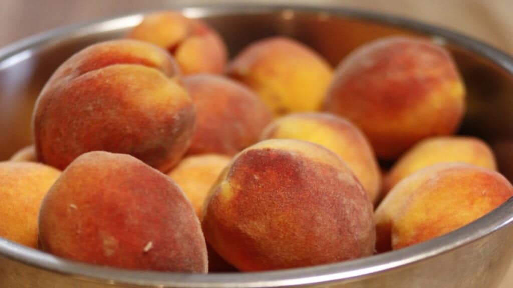 A close-up of a metal bowl filled with several ripe peaches with fuzzy skin, showing shades of orange, yellow, and red.