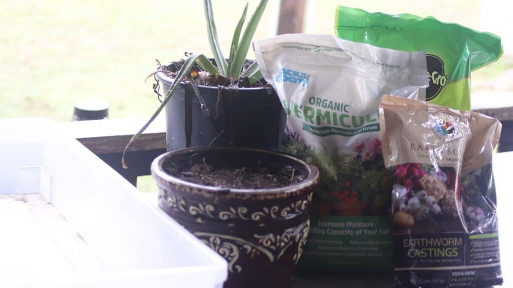 containers with old potting soil and an aloe vera plant along with bags of soil amendments for recharging the potting soil.