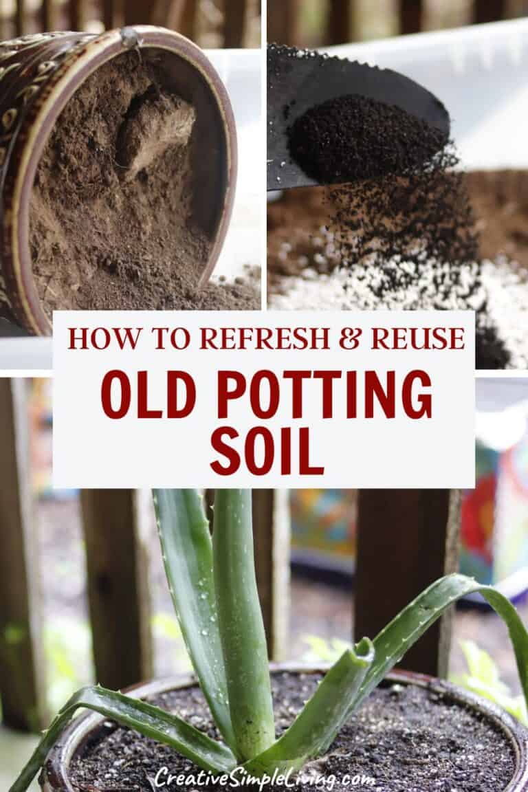 How to Save Old Potting Soil by Recharging It - Creative Simple Living