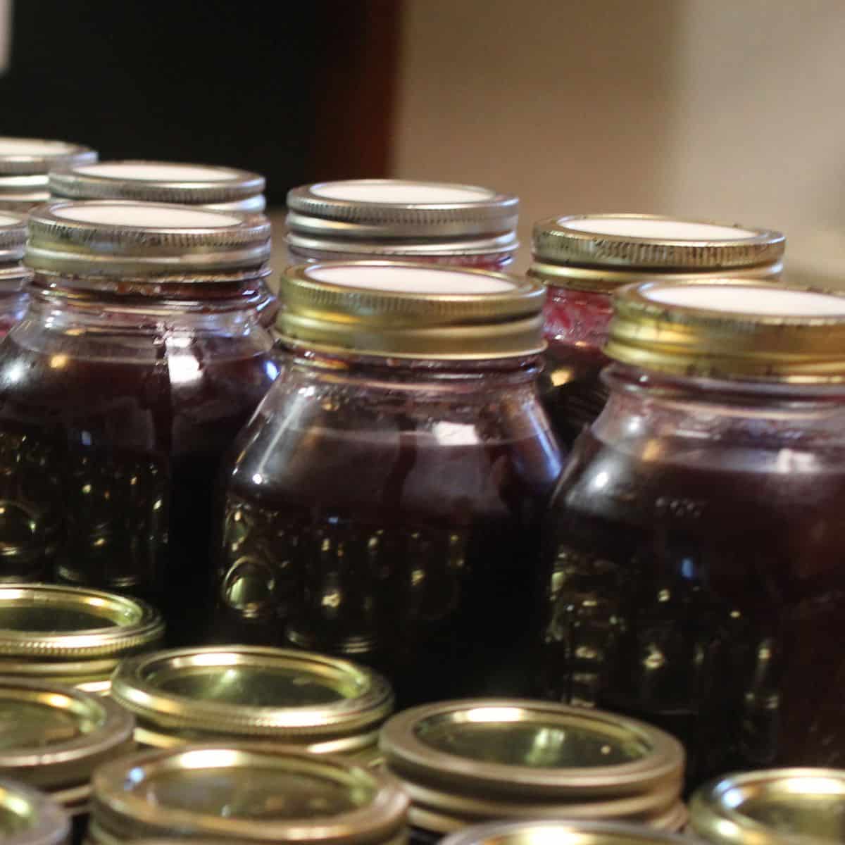 Several glass jars filled with dark purple jam are tightly sealed with metal lids and arranged in rows, with some empty or closed lids visible in the foreground.